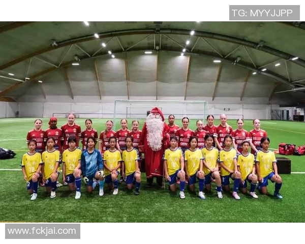 芬兰足球现役明星球员全名单及其赛场表现分析